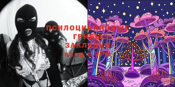 прущие грибы Белокуриха