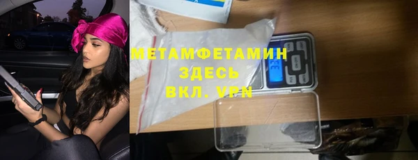 прущие грибы Белокуриха