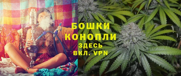 прущие грибы Белокуриха
