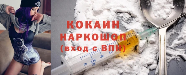 прущие грибы Белокуриха
