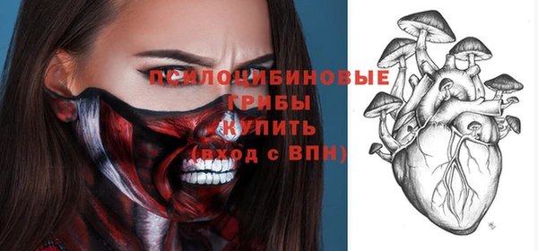 прущие грибы Белокуриха