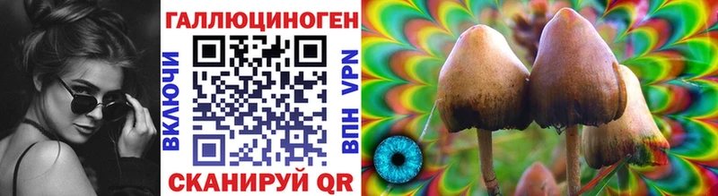 Псилоцибиновые грибы Psilocybe  Котельнич 